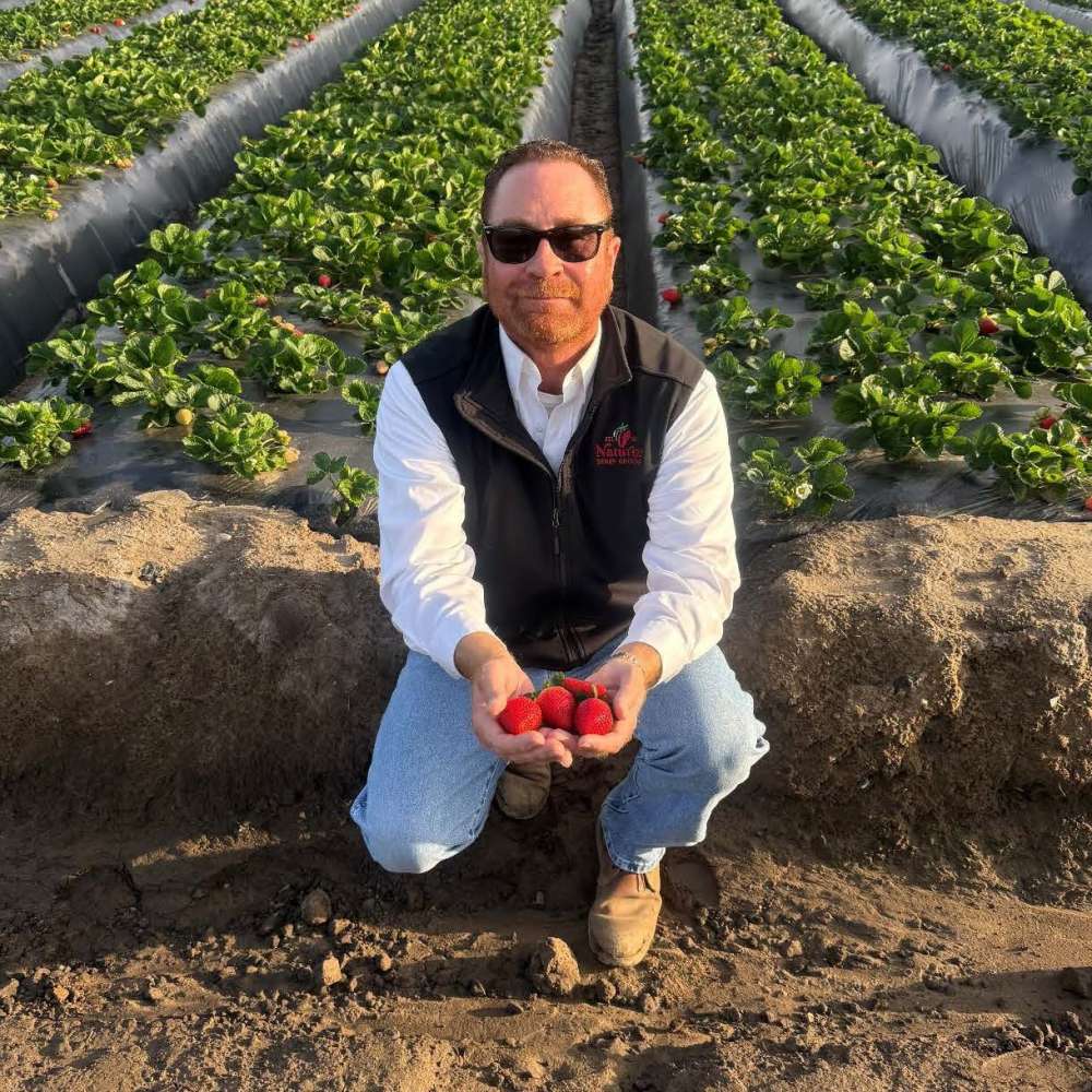 man holding strawberries in field
